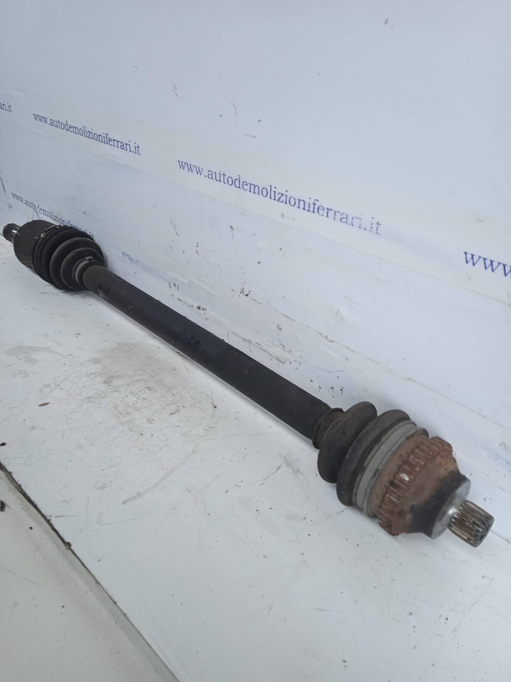 Semialbero ant. compl. dx.